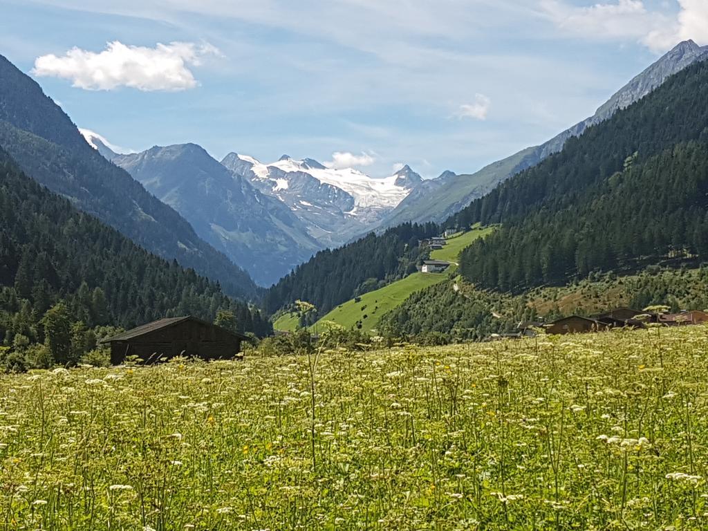 Apartamento Griesshof Neustift im Stubaital Exterior foto